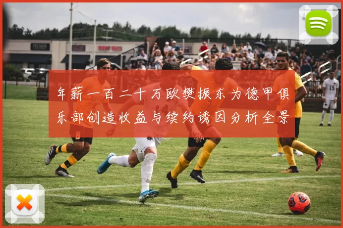 年薪一百二十万欧樊振东为德甲俱乐部创造收益与续约诱因分析全景